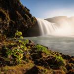 Hoàng Lê Việt Profile Picture